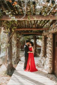 Photos by Safarsaga Films